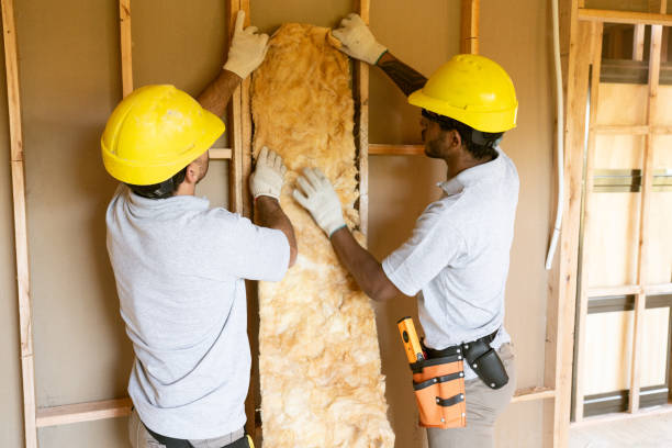 Best Insulation Contractor Near Me  in Hurlock, MD