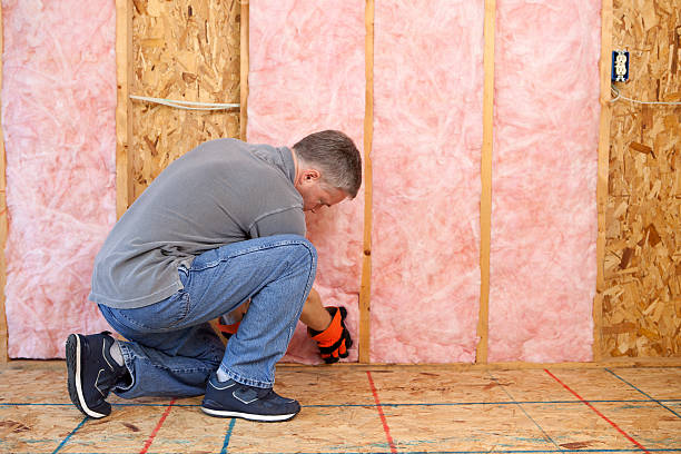 Best Insulation Installation Cost  in Hurlock, MD