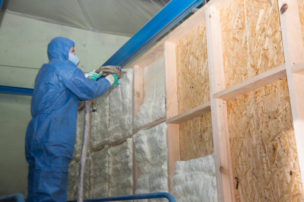 Best Residential Insulation Services  in Hurlock, MD